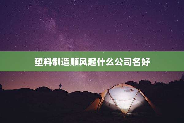 塑料制造顺风起什么公司名好