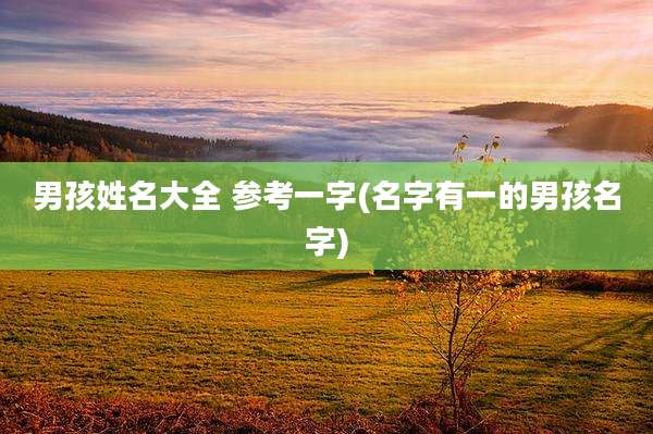 男孩姓名大全 参考一字(名字有一的男孩名字)