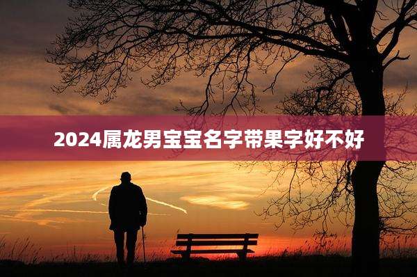 2024属龙男宝宝名字带果字好不好