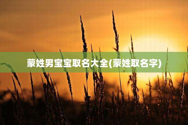 蒙姓男宝宝取名大全(蒙姓取名字)