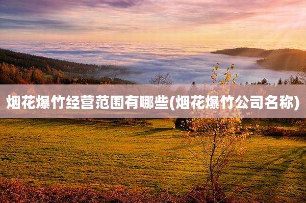 烟花爆竹经营范围有哪些(烟花爆竹公司名称)