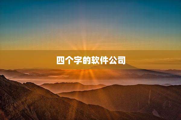 四个字的软件公司