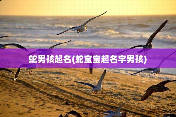 蛇男孩起名(蛇宝宝起名字男孩)