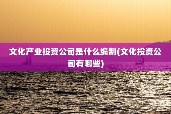 文化产业投资公司是什么编制(文化投资公司有哪些)