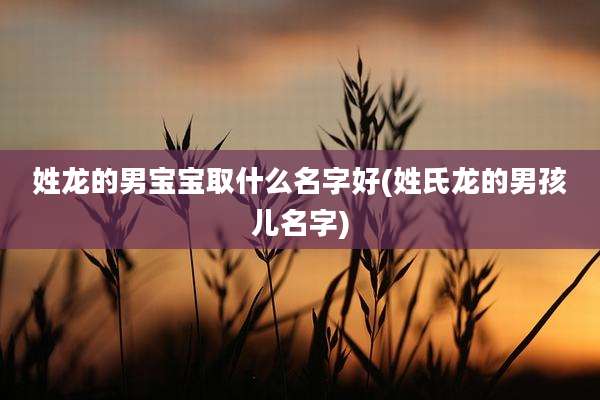 姓龙的男宝宝取什么名字好(姓氏龙的男孩儿名字)