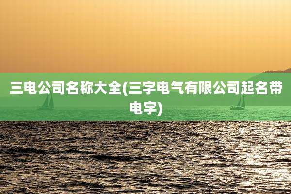 三电公司名称大全(三字电气有限公司起名带电字)