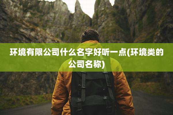 环境有限公司什么名字好听一点(环境类的公司名称)