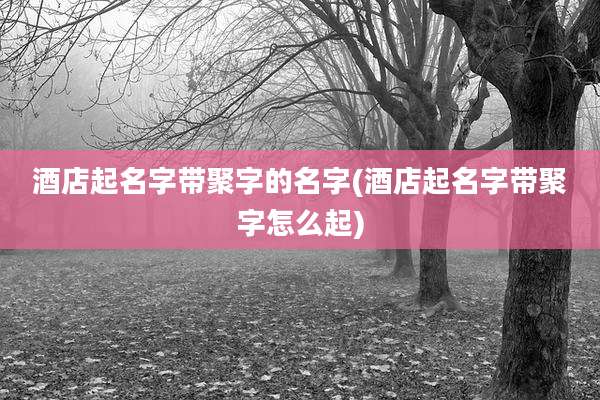 酒店起名字带聚字的名字(酒店起名字带聚字怎么起)