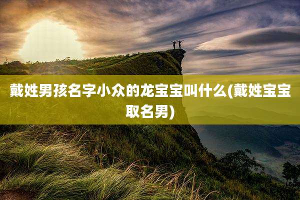 戴姓男孩名字小众的龙宝宝叫什么(戴姓宝宝取名男)