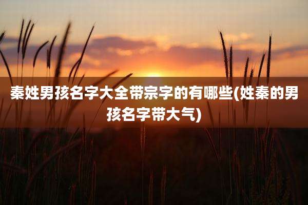 秦姓男孩名字大全带宗字的有哪些(姓秦的男孩名字带大气)