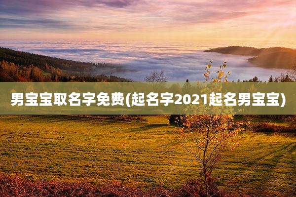 男宝宝取名字免费(起名字2021起名男宝宝)