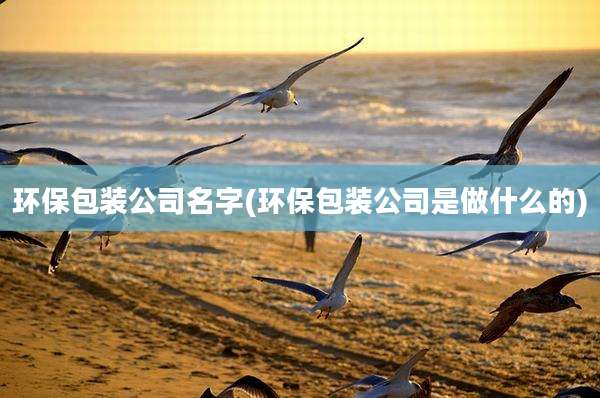 环保包装公司名字(环保包装公司是做什么的)