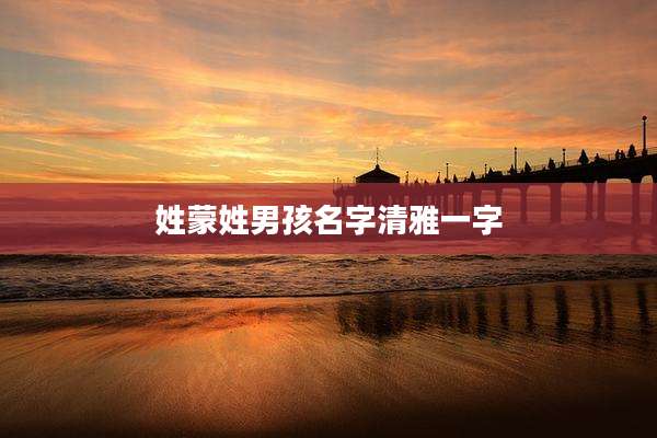 姓蒙姓男孩名字清雅一字