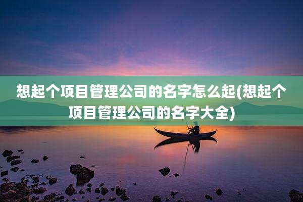 想起个项目管理公司的名字怎么起(想起个项目管理公司的名字大全)