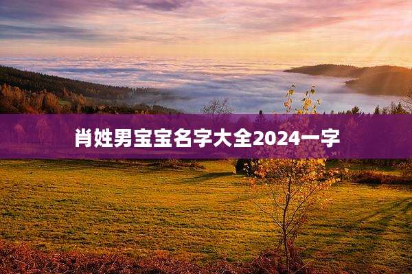 肖姓男宝宝名字大全2024一字