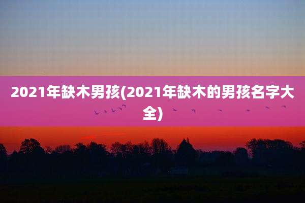 2021年缺木男孩(2021年缺木的男孩名字大全)