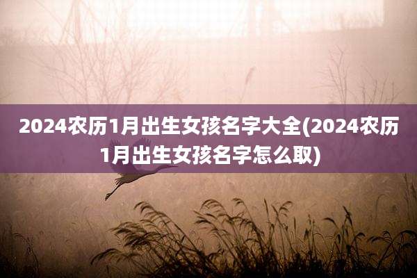 2024农历1月出生女孩名字大全(2024农历1月出生女孩名字怎么取)