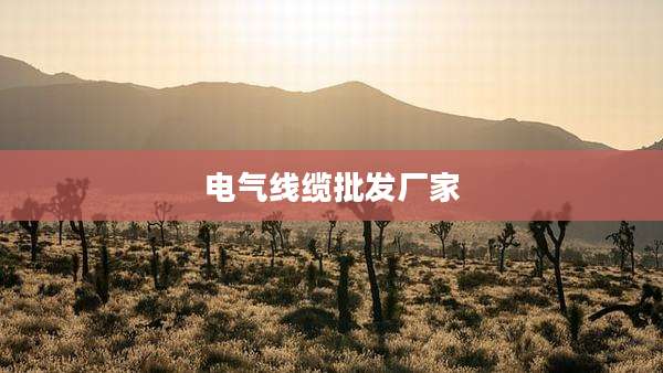 电气线缆批发厂家