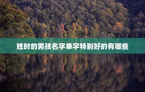 姓时的男孩名字单字特别好的有哪些