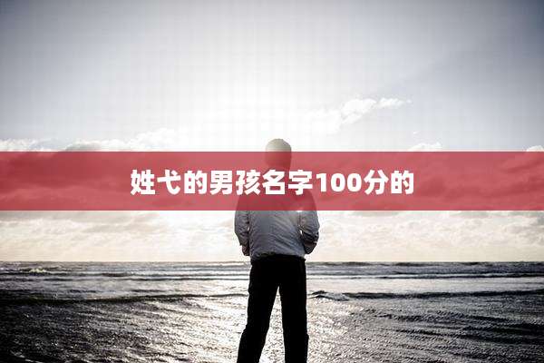 姓弋的男孩名字100分的