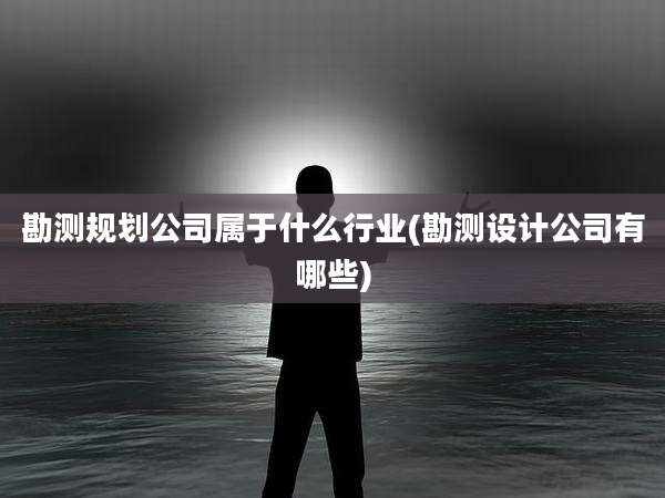 勘测规划公司属于什么行业(勘测设计公司有哪些)