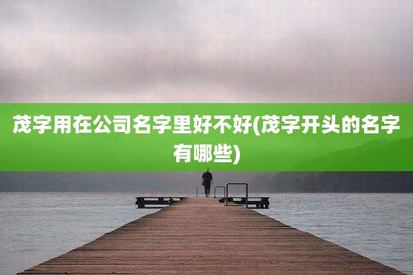 茂字用在公司名字里好不好(茂字开头的名字有哪些)