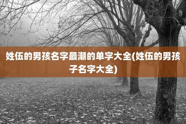 姓伍的男孩名字最潮的单字大全(姓伍的男孩子名字大全)