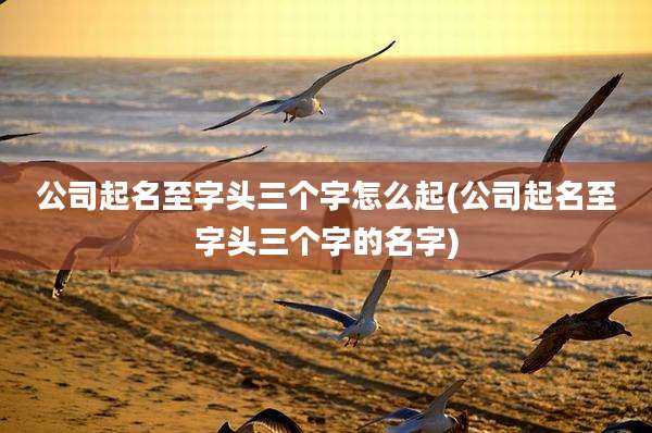 公司起名至字头三个字怎么起(公司起名至字头三个字的名字)