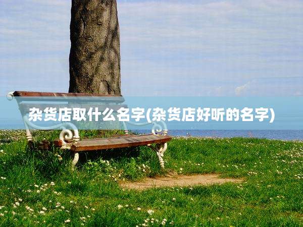 杂货店取什么名字(杂货店好听的名字)