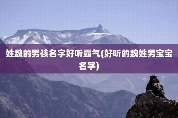 姓魏的男孩名字好听霸气(好听的魏姓男宝宝名字)