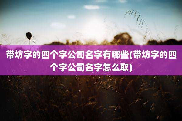 带坊字的四个字公司名字有哪些(带坊字的四个字公司名字怎么取)