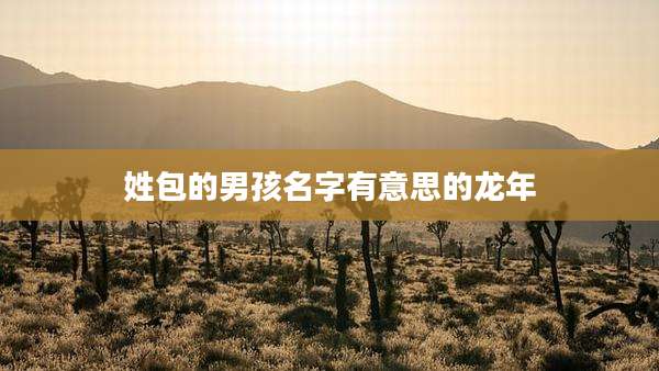 姓包的男孩名字有意思的龙年