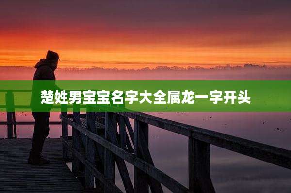 楚姓男宝宝名字大全属龙一字开头