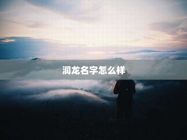 润龙名字怎么样