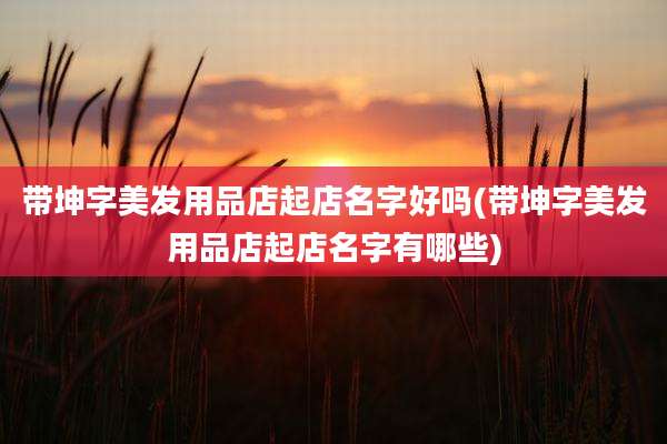带坤字美发用品店起店名字好吗(带坤字美发用品店起店名字有哪些)