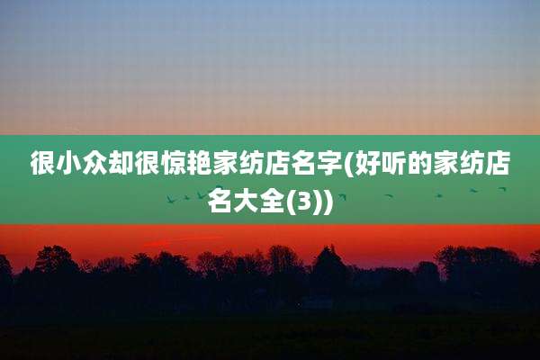 很小众却很惊艳家纺店名字(好听的家纺店名大全(3))