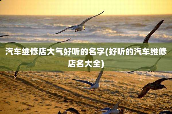 汽车维修店大气好听的名字(好听的汽车维修店名大全)
