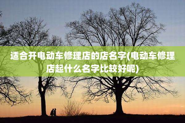 适合开电动车修理店的店名字(电动车修理店起什么名字比较好呢)