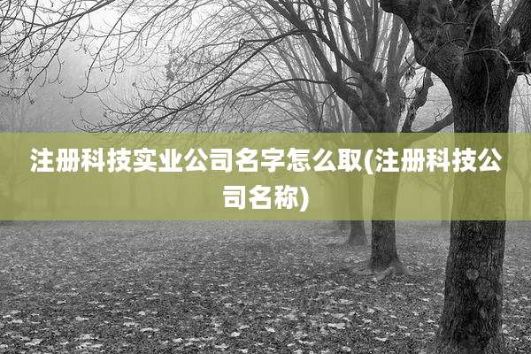 注册科技实业公司名字怎么取(注册科技公司名称)