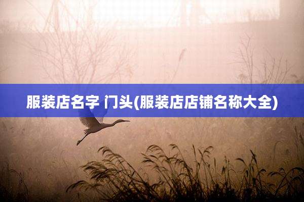 服装店名字 门头(服装店店铺名称大全)