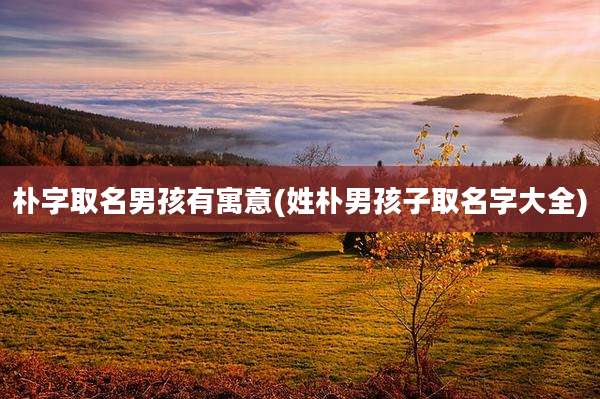 朴字取名男孩有寓意(姓朴男孩子取名字大全)