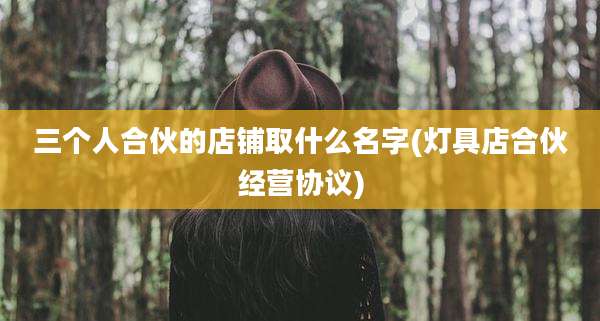 三个人合伙的店铺取什么名字(灯具店合伙经营协议)