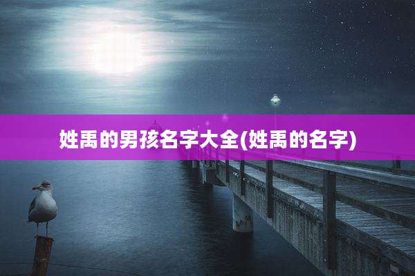 姓禹的男孩名字大全(姓禹的名字)