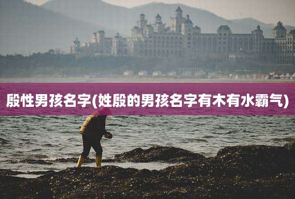 殷性男孩名字(姓殷的男孩名字有木有水霸气)