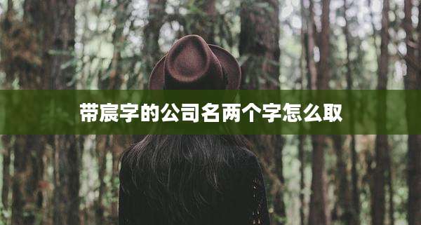 带宸字的公司名两个字怎么取