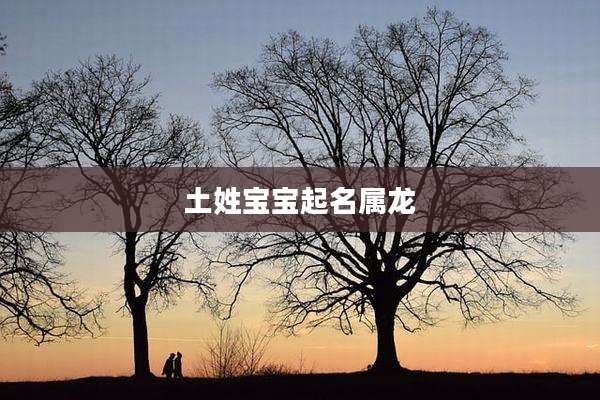 土姓宝宝起名属龙
