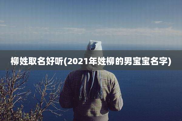 柳姓取名好听(2021年姓柳的男宝宝名字)