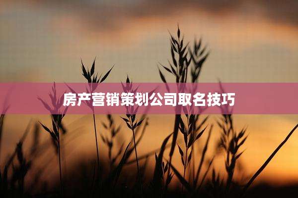 房产营销策划公司取名技巧