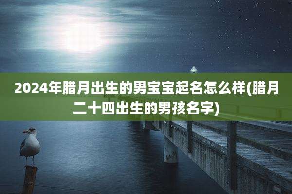 2024年腊月出生的男宝宝起名怎么样(腊月二十四出生的男孩名字)