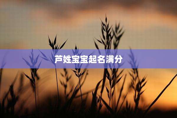 芦姓宝宝起名满分